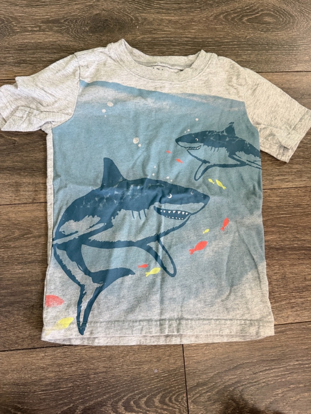 Sz 5t Boys Grey Shark Graphic Tee